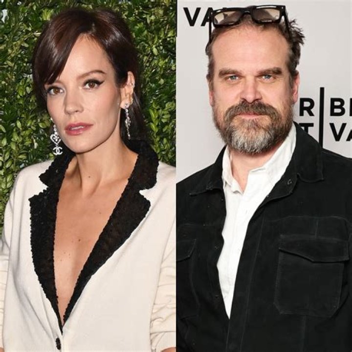 Did David Harbour and Lily Allen Split? Behind Divorce Rumors