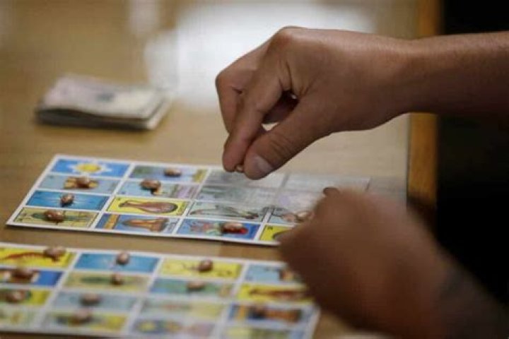 JESUS LOTERÍA Y MÁS Youtuber overview