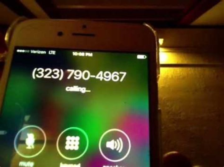 Misha Collins Phone Number, WhatsApp Number Contact Number Mobile