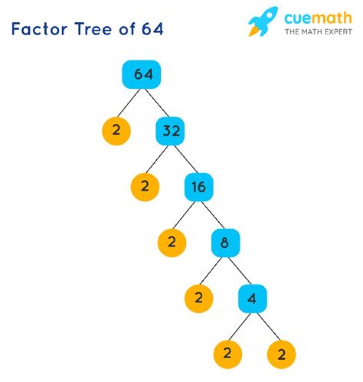 Show Factorization for 64
