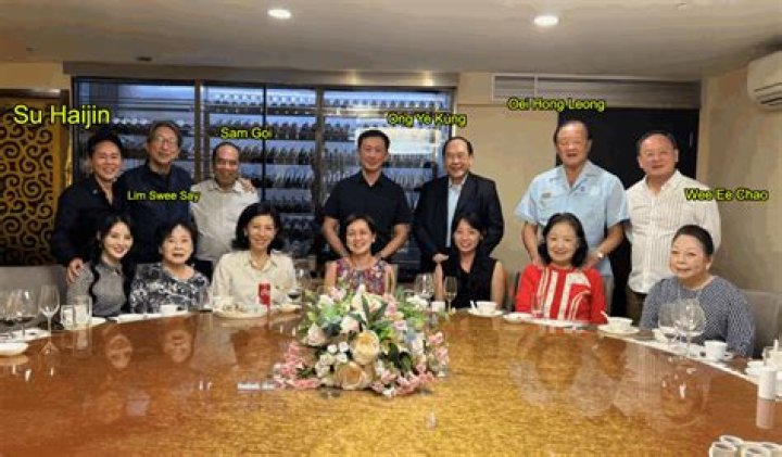 Su Haijin Family: Meet His Wife, Sons And Daughter